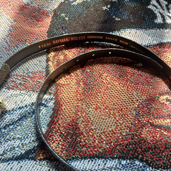 Rayman Ridless - Picture 3 of 4